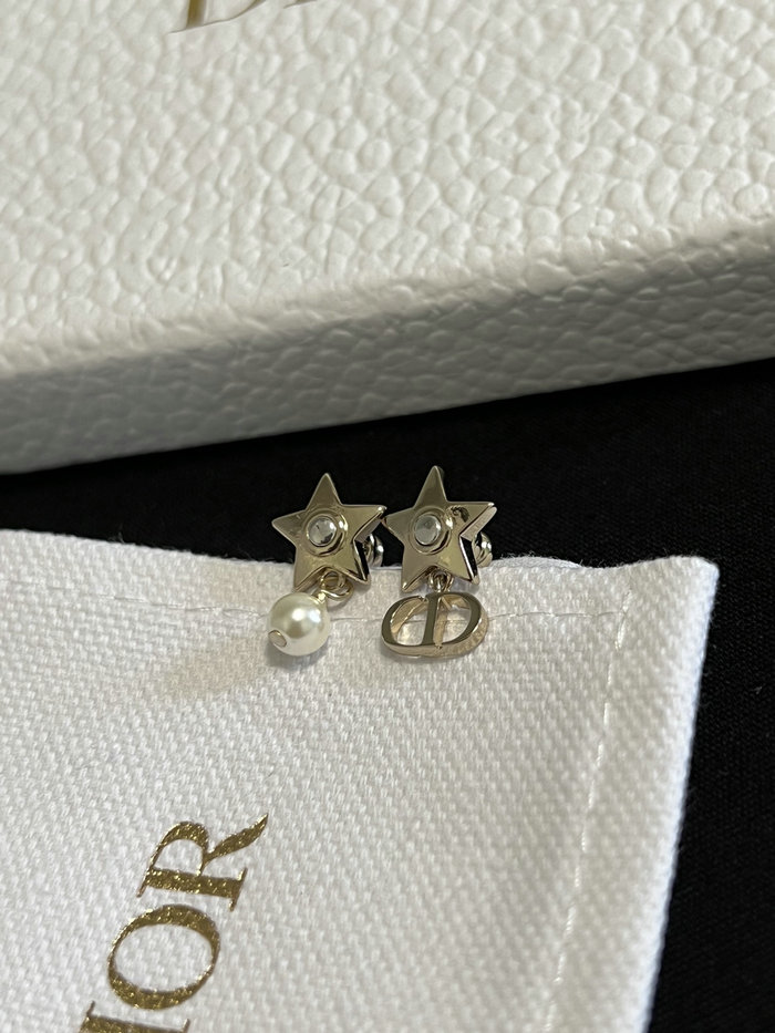 Dior Earrings JDE061401