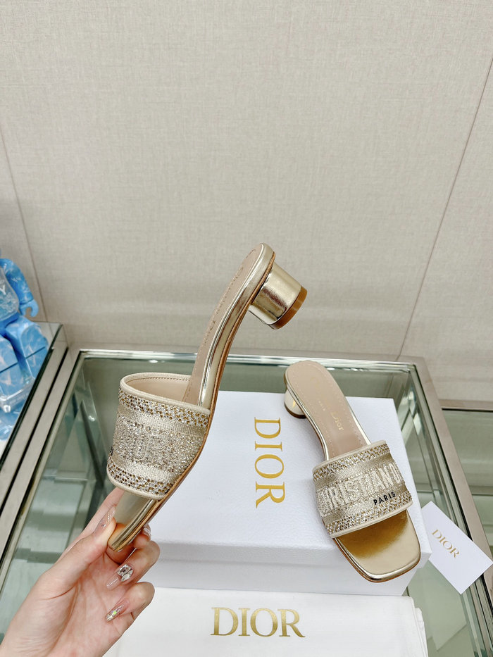 Dior Slippers SMD060401