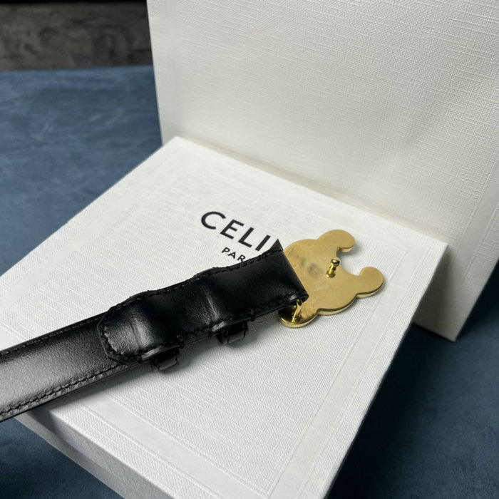 Celine Belt BCE062804