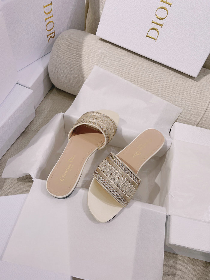 Dior Slippers SND063006