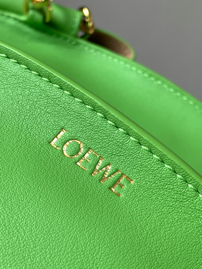 Loewe Paseo Small Leather Chain Shoulder Bag Green L9022