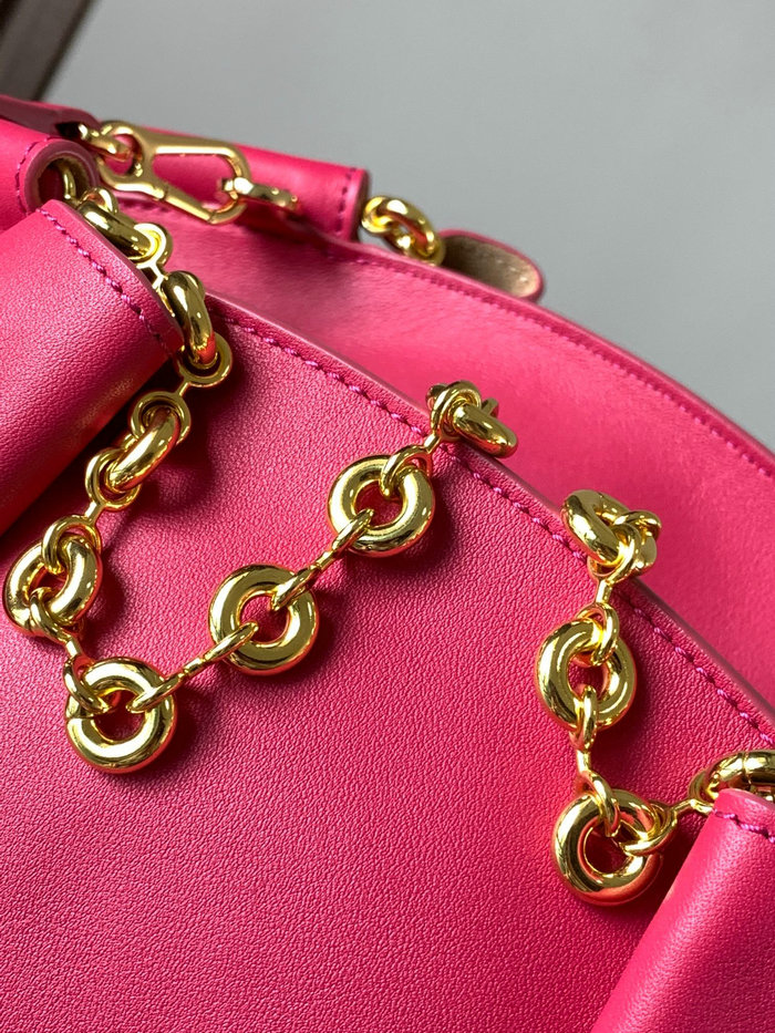 Loewe Paseo Small Leather Chain Shoulder Bag Rose L9022