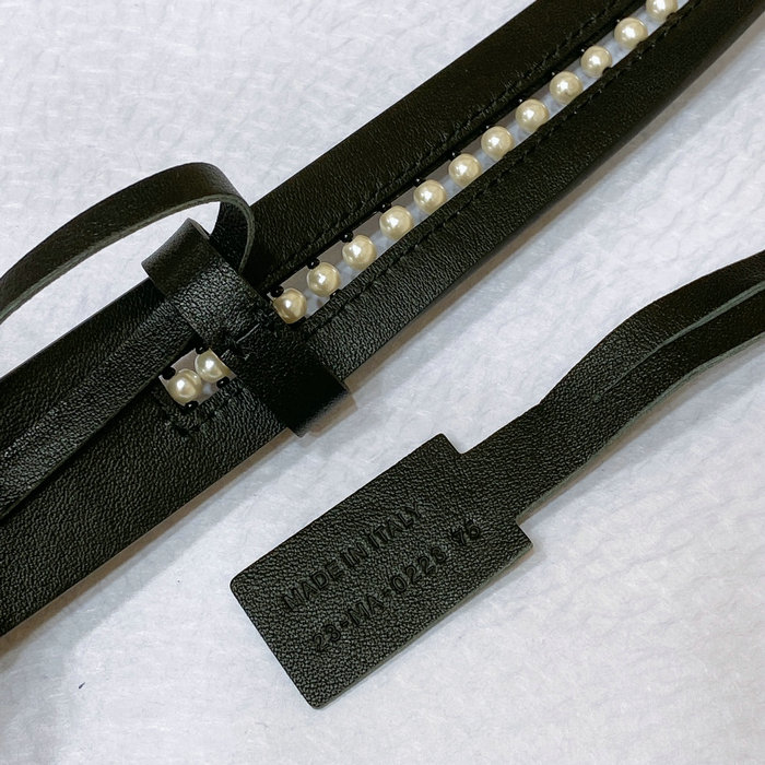 Dior 30 Montaigne Belt DB080201