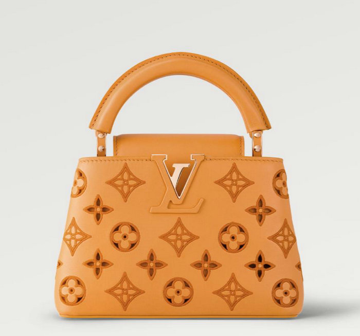 Louis Vuitton Capucines Mini Brown M22863