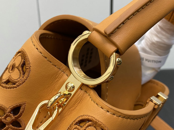 Louis Vuitton Capucines Mini Brown M22863