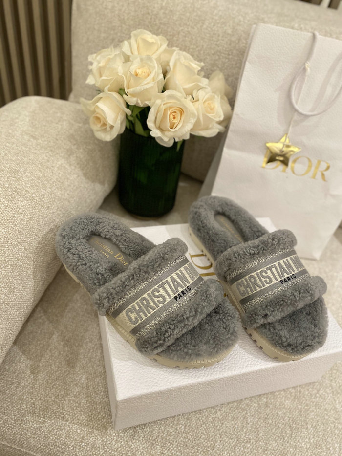 Dior Slippers SND080904