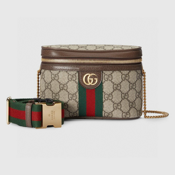 Gucci Ophidia Belt Bag with Web 699765