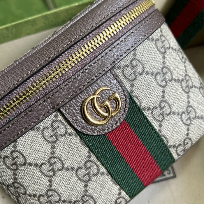 Gucci Ophidia Belt Bag with Web 699765