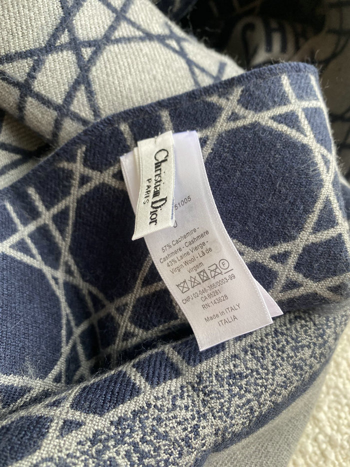 Dior Scarf DS091301