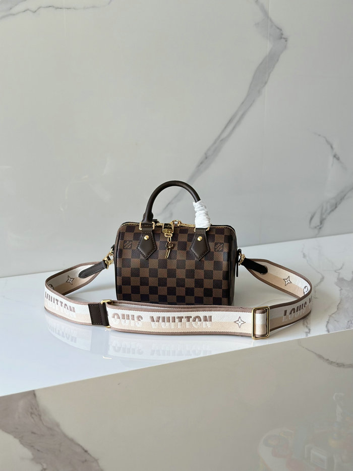 Louis Vuitton Damier Ebene Speedy 20 N40489