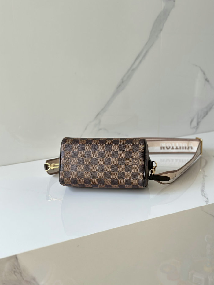 Louis Vuitton Damier Ebene Speedy 20 N40489