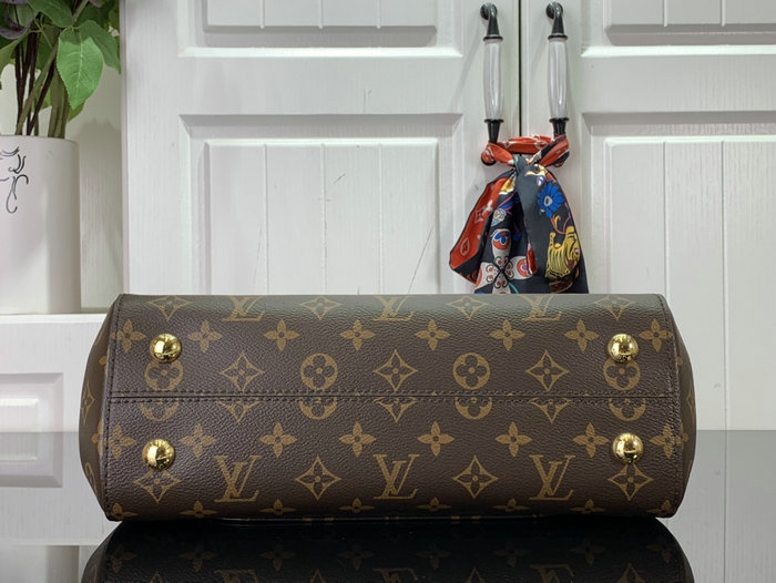 Louis Vuitton Cluny BB M46372