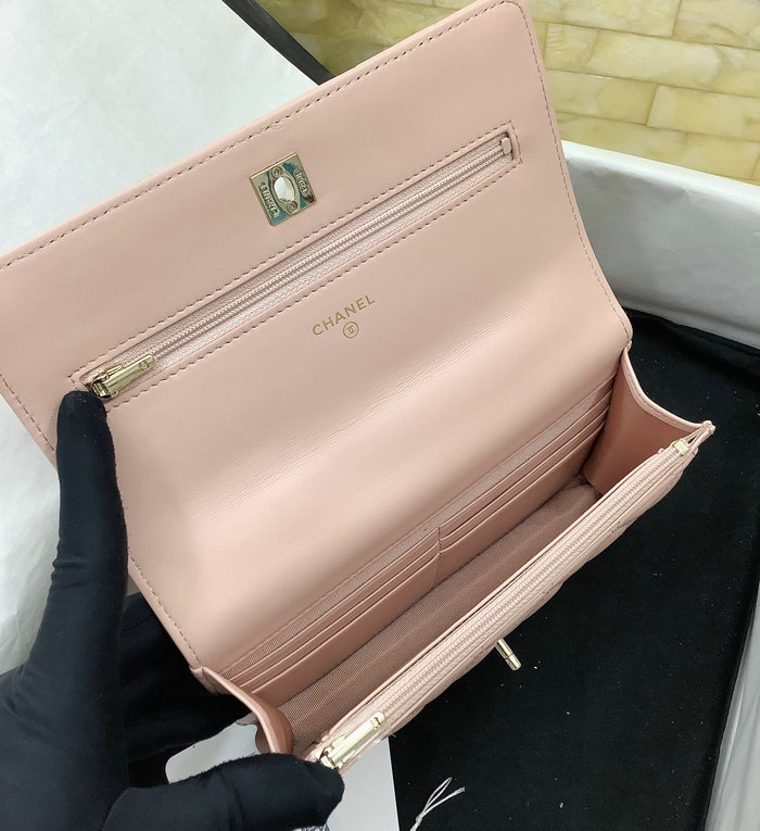 Chanel Flap shoulder with Handle Pink AP3574