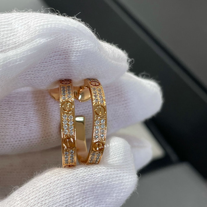 Cartier Earrings YFCRE1202