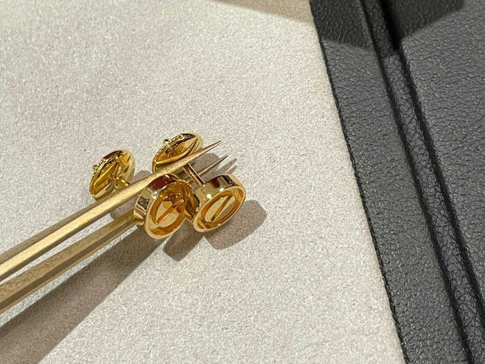 Cartier Earrings YFCRE1204