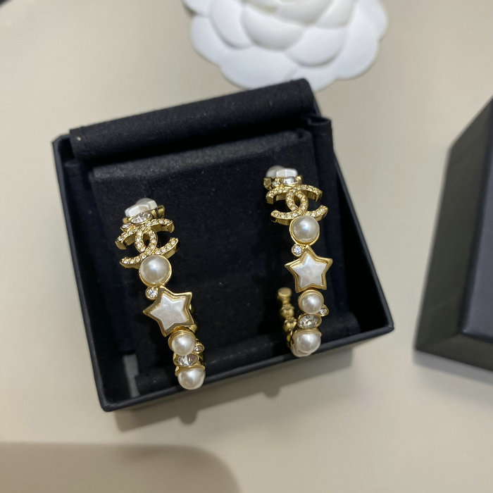 Chanel Earrings YFCE1213