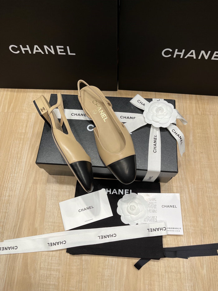 Chanel Pumps SDH121922