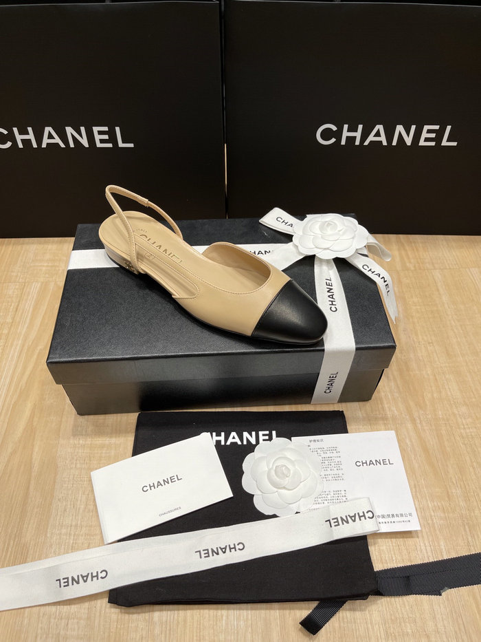 Chanel Pumps SDH121922