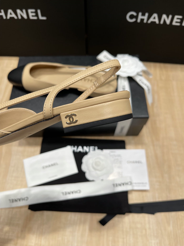 Chanel Pumps SDH121922