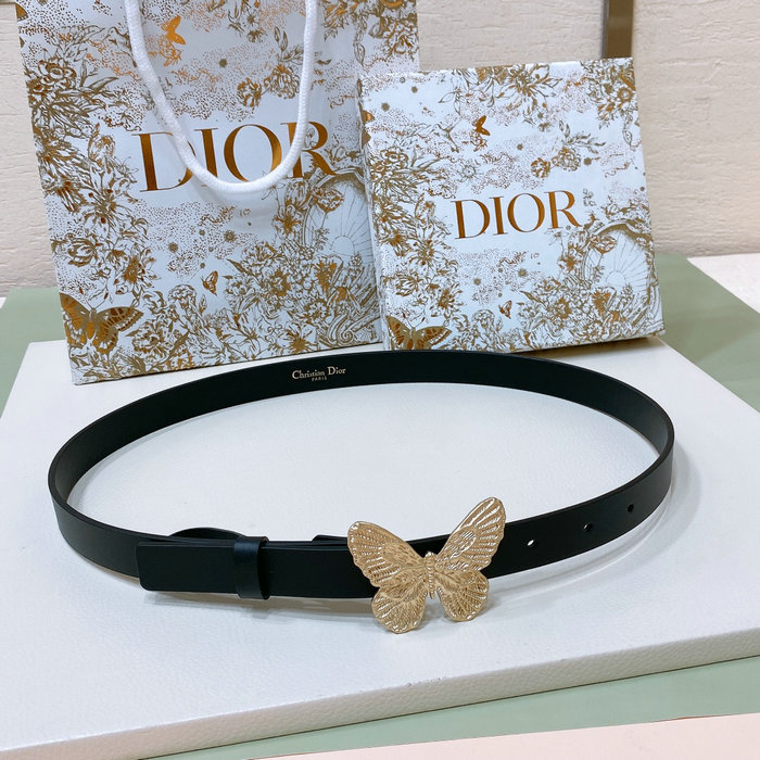 Dior Belt DB031506