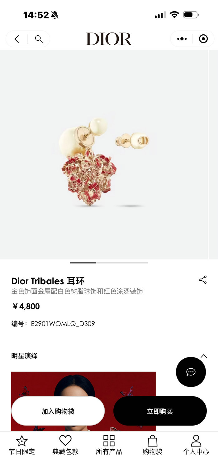 Dior Earrings YFDE031201