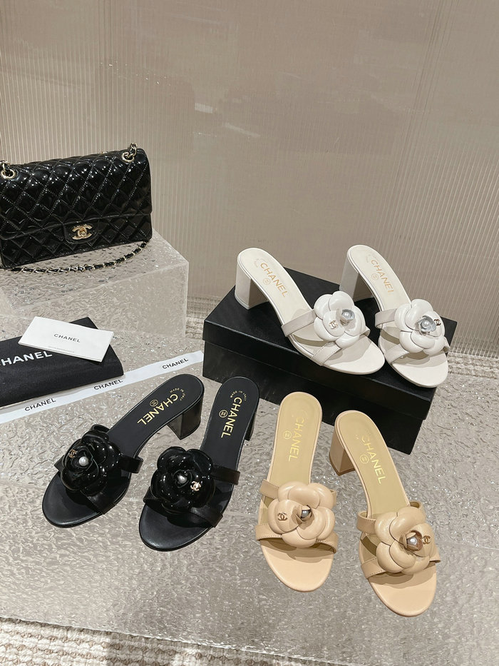 Chanel Mules AQCS031806