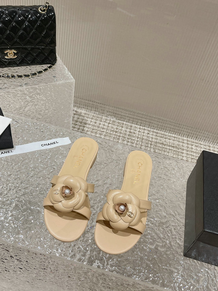 Chanel Sandals AQCS031807