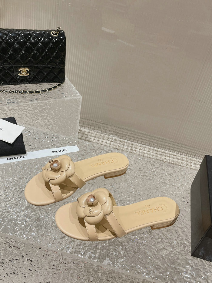 Chanel Sandals AQCS031807