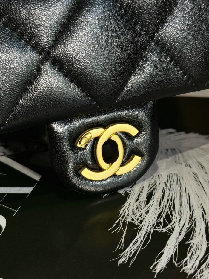 Mini Chanel Flap Bag AS4868