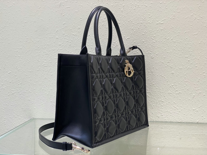 Medium Dior Book Tote M1324