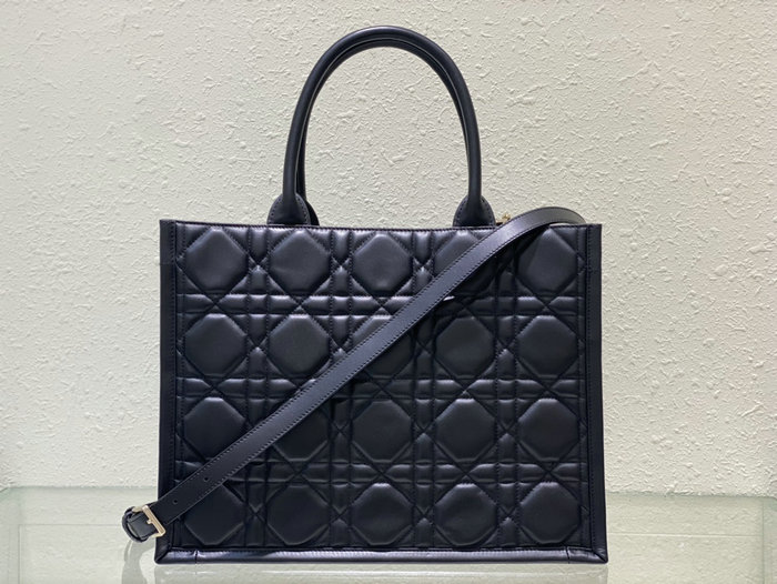 Medium Dior Book Tote M1324