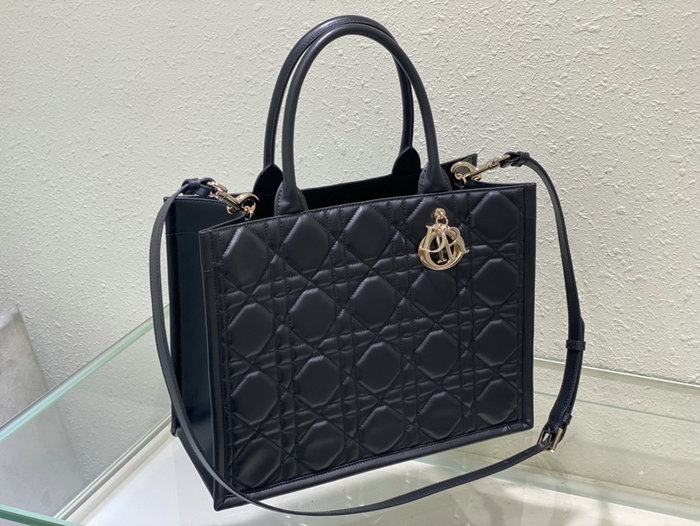 Medium Dior Book Tote M1324