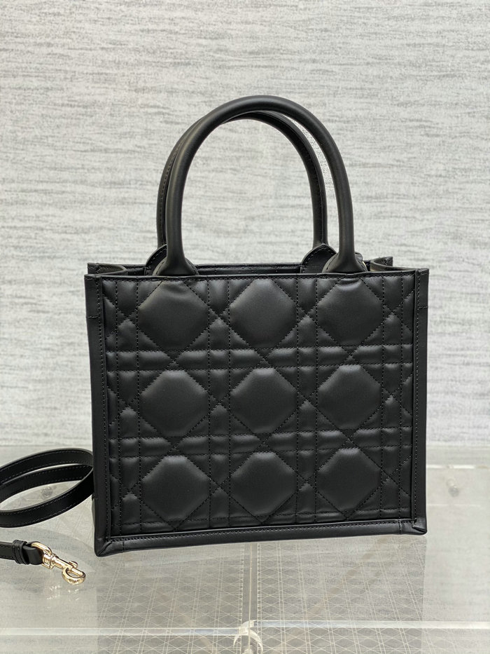 Small Dior Book Tote S1324