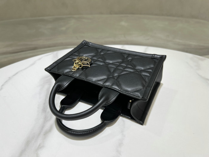 Mini Dior Book Tote Black S5573