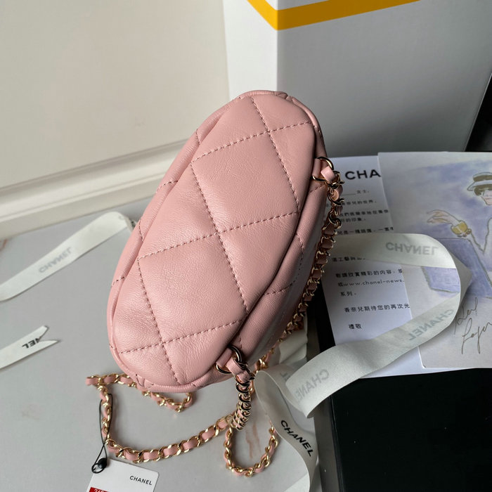 Chanel Backpack Pink AS4810