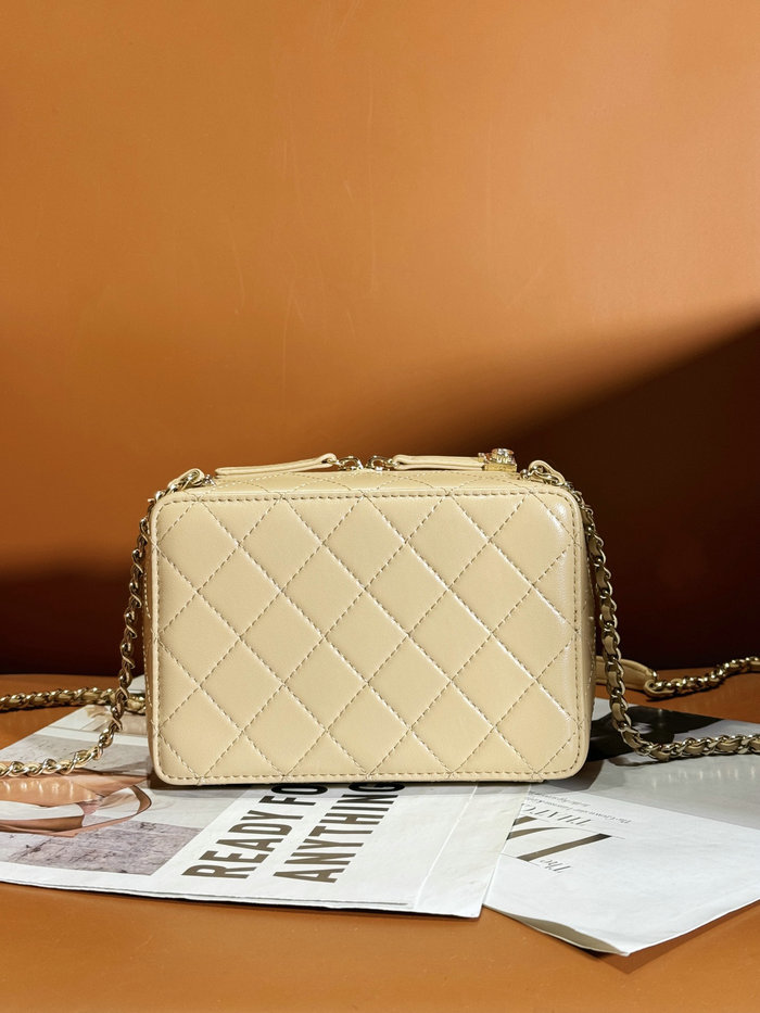 Chanel Camera Bag Beige AS4817