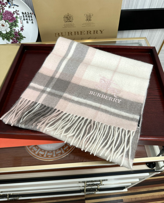 Burberry Scarf DPBS51801