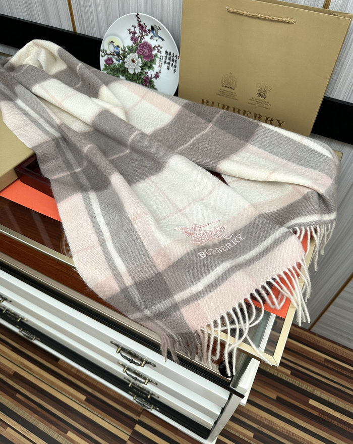 Burberry Scarf DPBS51801