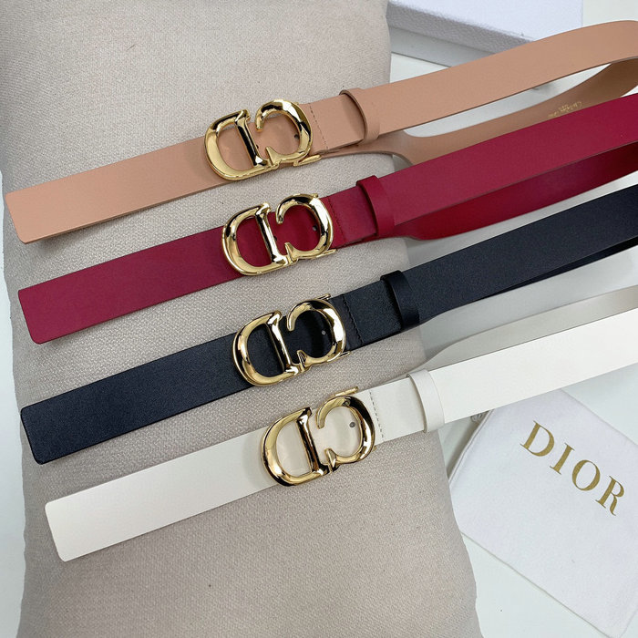 Dior Belt WBD52001