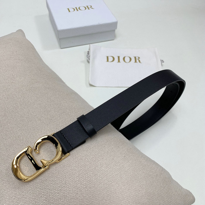 Dior Belt WBD52001