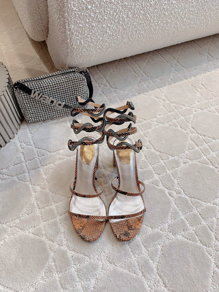 Rene Caovilla Sandals WSR52226