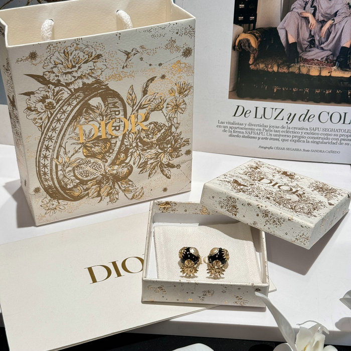 Dior Earrings DE60302