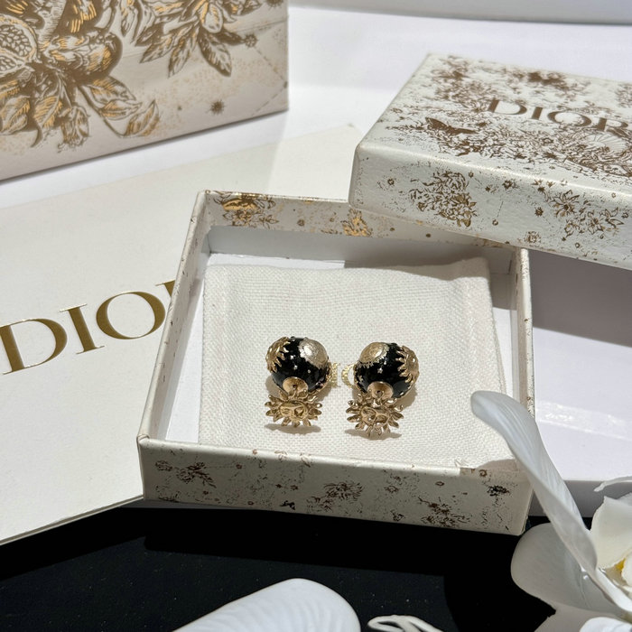 Dior Earrings DE60302