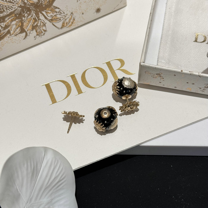 Dior Earrings DE60302