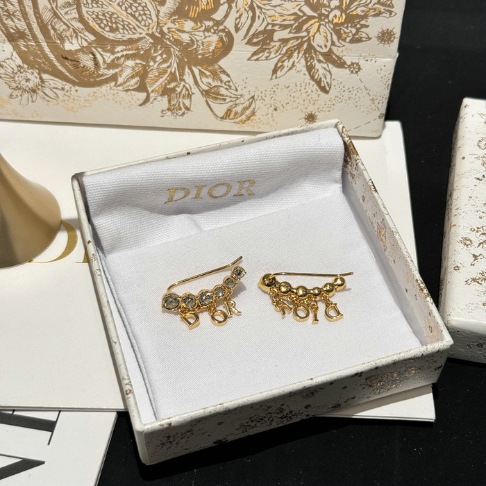 Dior Earrings DE60303