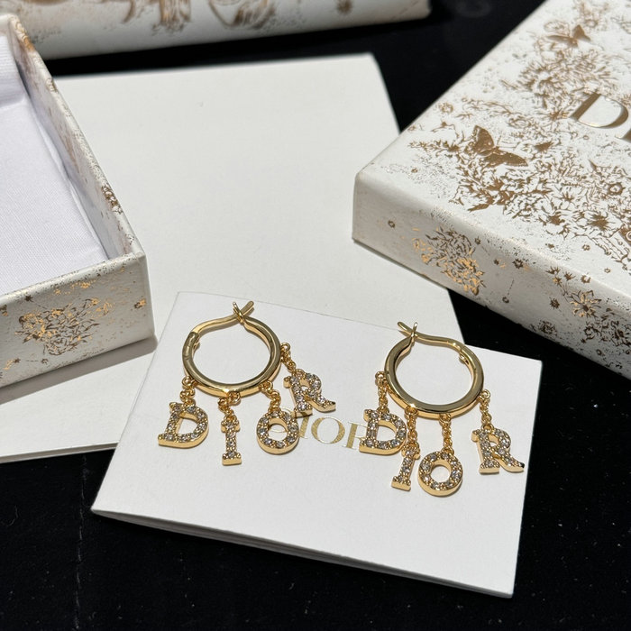 Dior Earrings DE60304