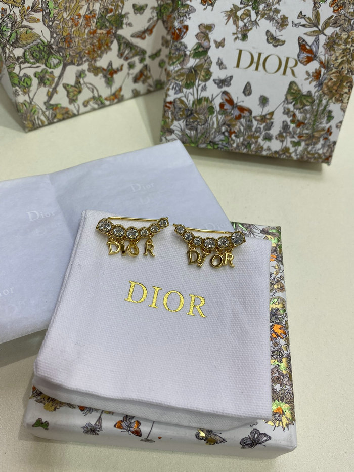 Dior Earrings DE60305