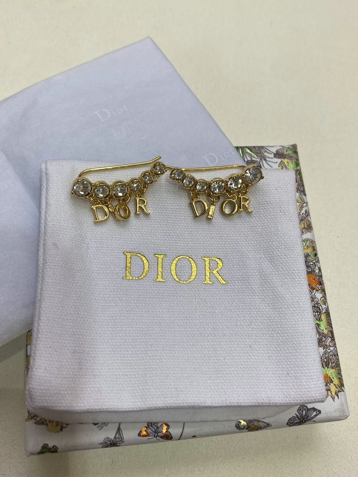 Dior Earrings DE60305