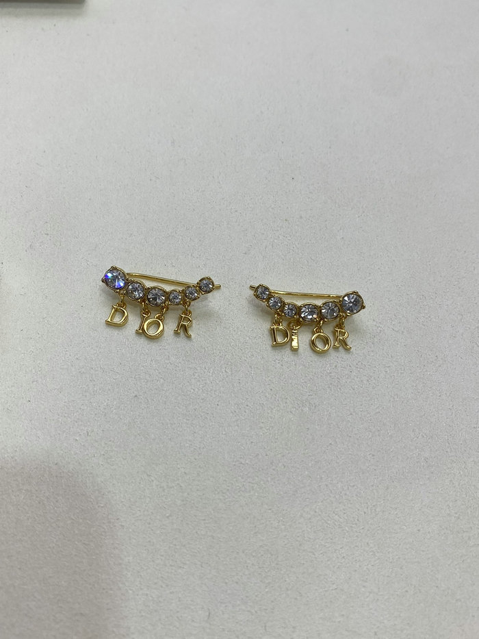 Dior Earrings DE60305