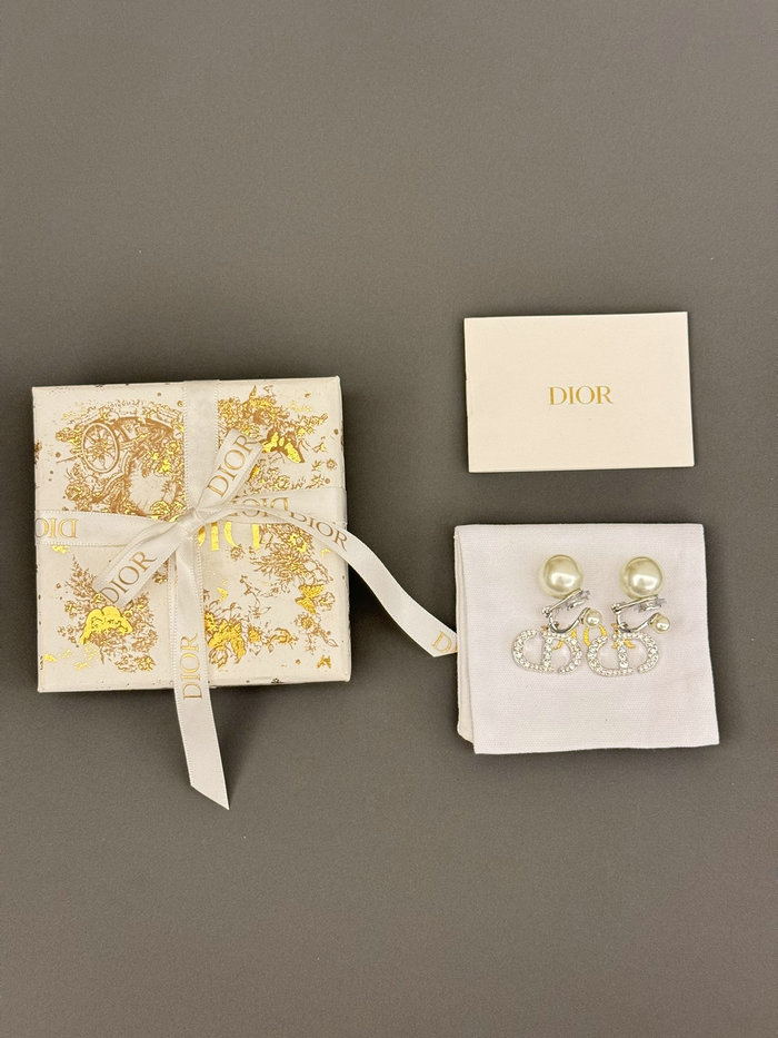 Dior Earrings DE60306